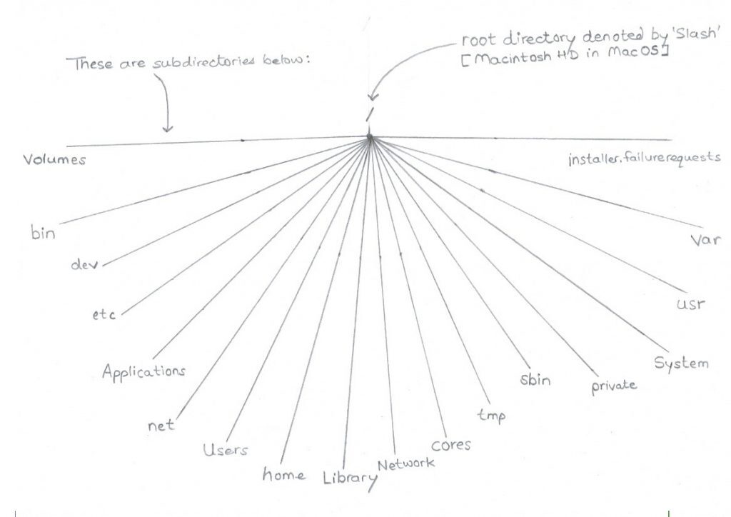 Diagram of the macOS file system tree under the root directory